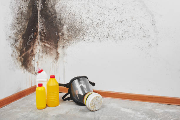 Water Damage Restoration in Fannett, TX
