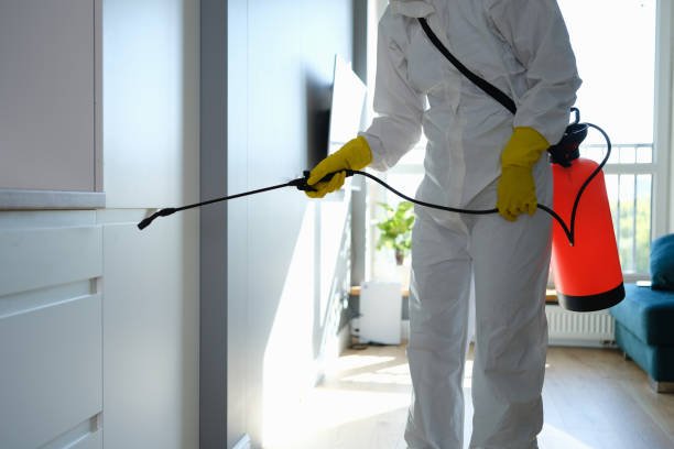 Best Local Mold Removal Service  in Fannett, TX